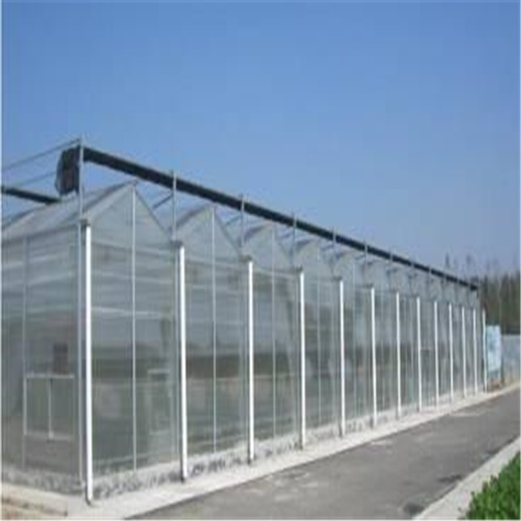 北极种菜温室大棚 钢结构网架大棚 泉港阳光板温室大棚