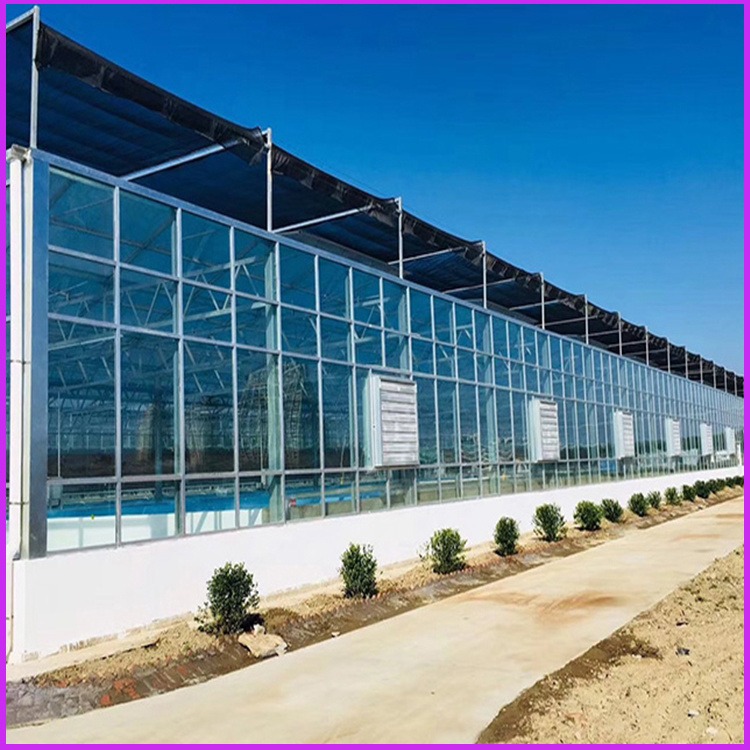 10个厚聚碳酸酯中空板 东光县 海兴县透明双层农业种植大棚PC阳光板
