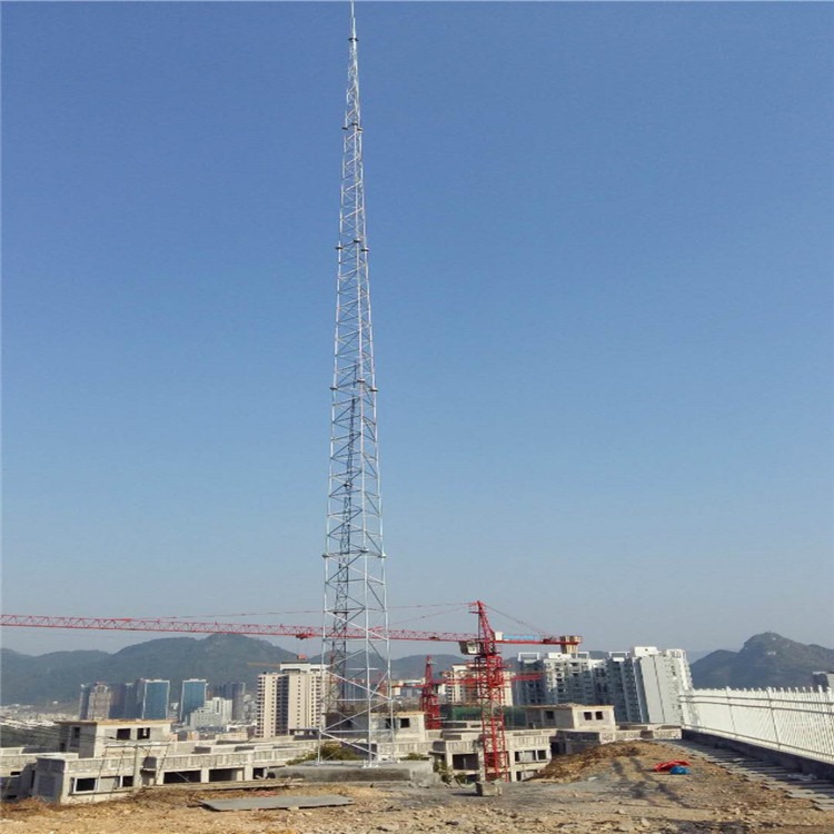 加工设计10米监控塔  20米监控塔 15米监控塔 泰翔 质保30年