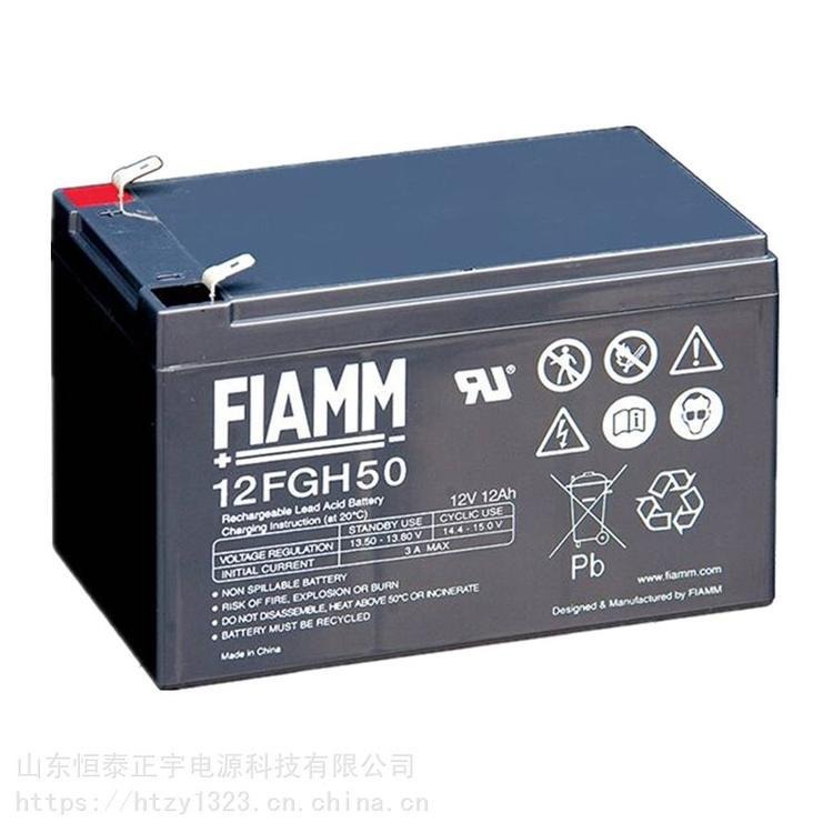 FIAMM非凡蓄电池12FGH50 12V12AH