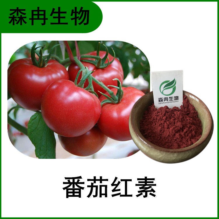 番茄红素5% 西红柿提取物 浓缩粉 植物提取原料粉 现货包邮图片