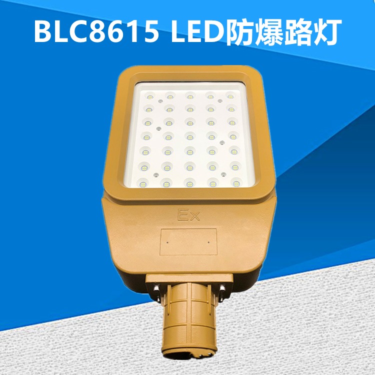 华隆BLC8615 LED防爆泛光灯 LED防爆灯厂家