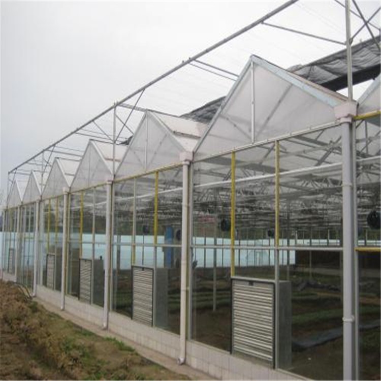 广州星空大棚厂家 玻璃温室施工组织设计 旭航温室大棚建设图片