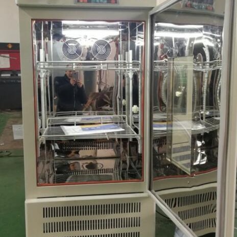 光照培养箱实验室光照箱PGX-250B人工气候培养箱发芽试验箱 植物生长箱