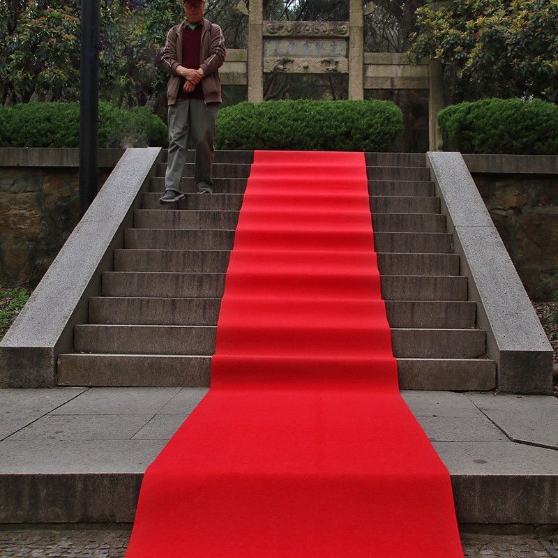 迪庆拍照专用地毯 网红摄影背景商用灰色地毯 办公室全铺服装店地毯 办公室地毯 酒店楼梯地毯图片