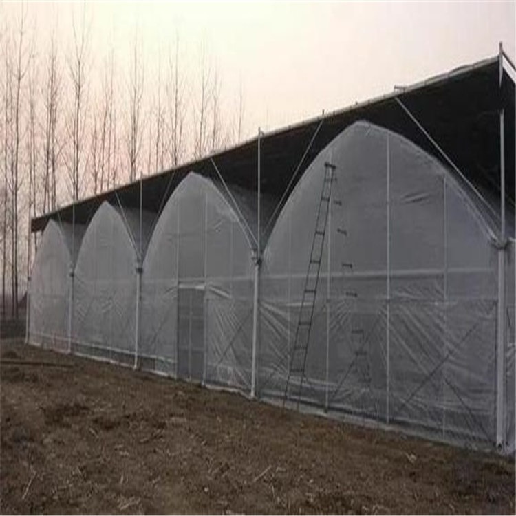 新疆薄膜连栋大棚建造 单层两跨钢结构大棚 旭航温室工程建设厂家