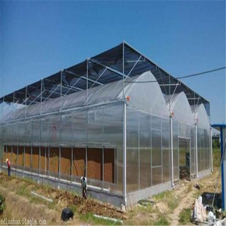 柑橘连体大棚造价 新疆文洛式玻璃温室 旭航温室大棚建设