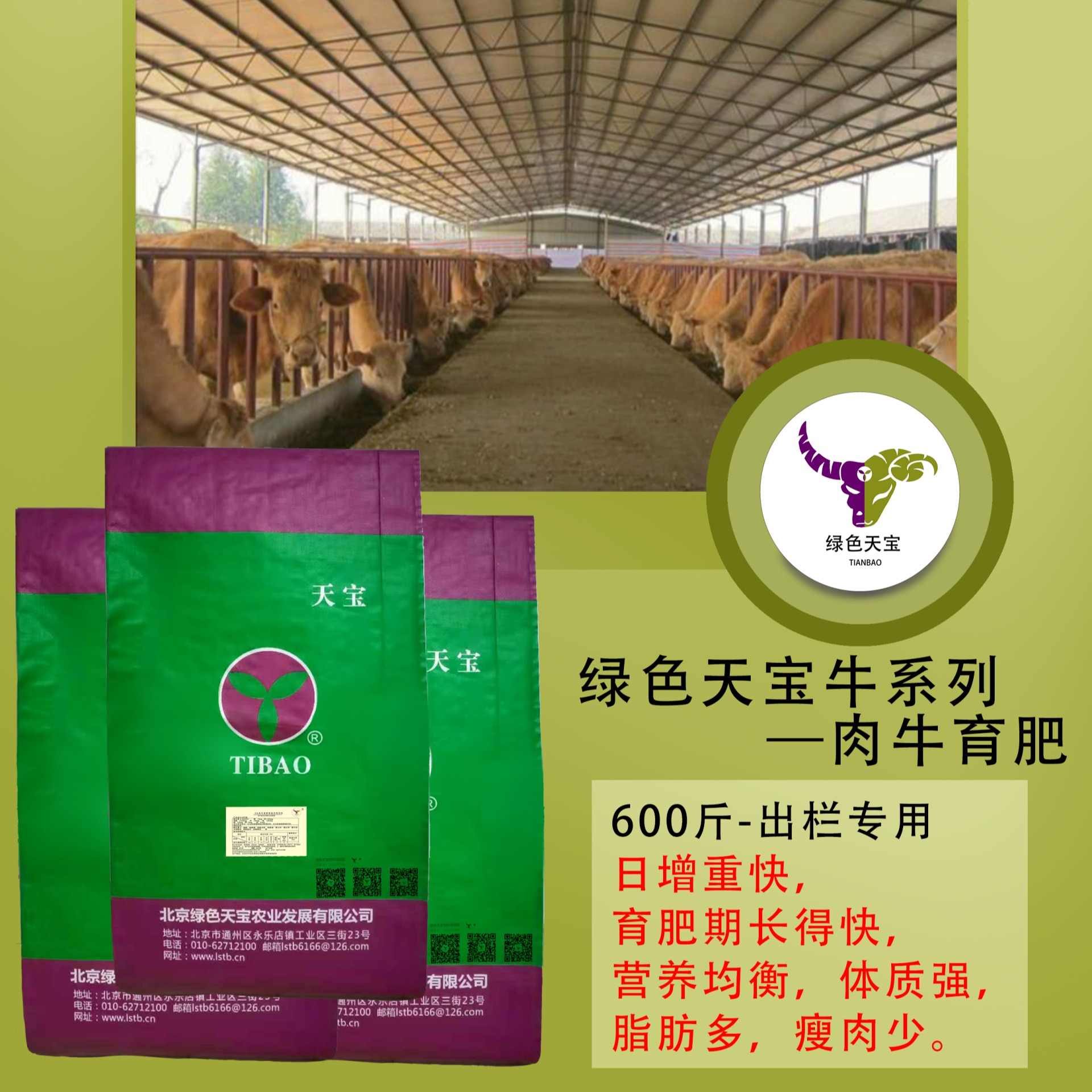5%肉牛育肥期复合预混料  育肥牛育肥期间的饲料配方比例   快速育肥