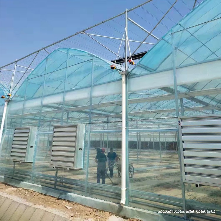 日光温室大棚建设 河南草莓葡萄种植专用棚 塑料蔬菜种植棚 嘉诺