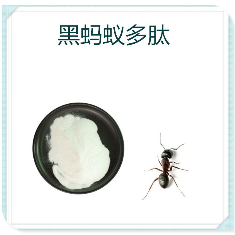 黑蚂蚁多肽99% 提取物 食品级 小分子肽 多规格 沃特莱斯生物图片