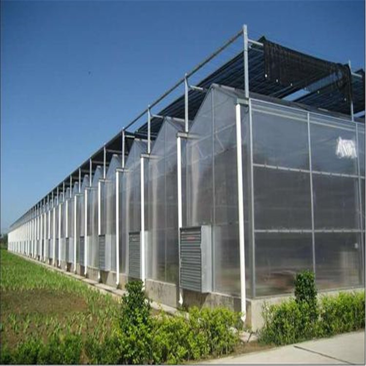 福建文洛型玻璃温室 阳光板连栋温室大棚 旭航温室大棚设计
