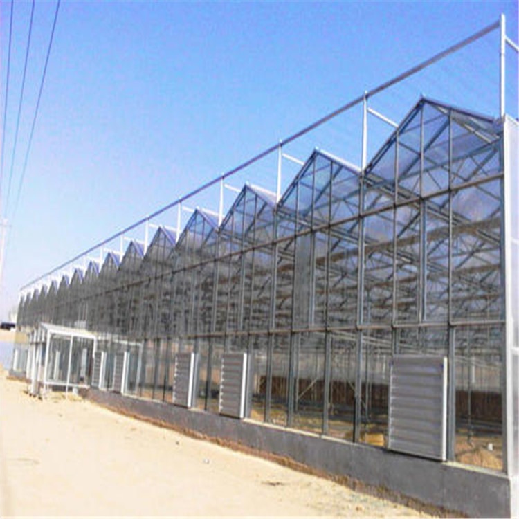 专业智能阳光板温室建设  南安养殖大棚厂家 旭航图片