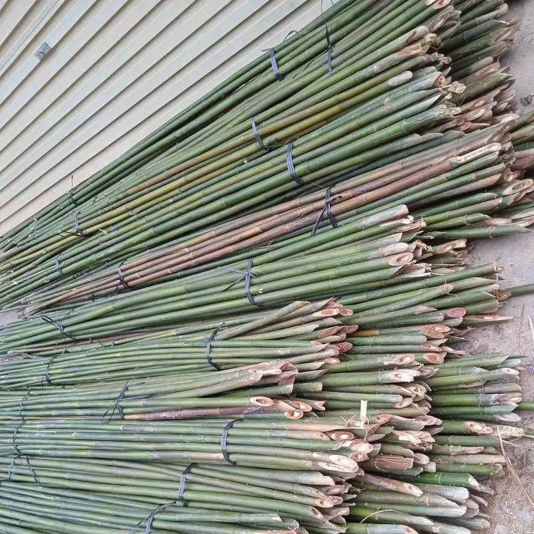 2.2米-3米小山竹 金竹围篱笆用细竹竿