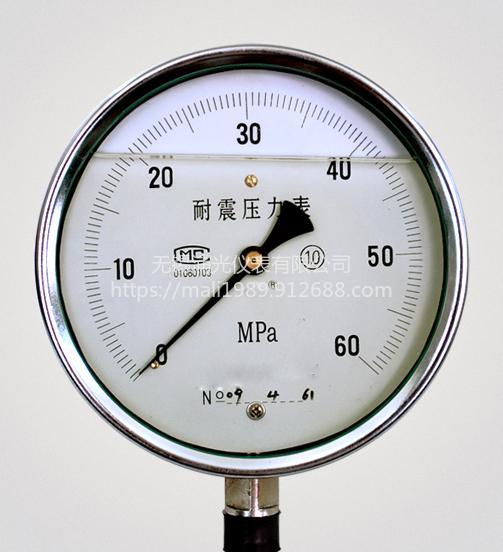 浦光仪表尺寸可定制膜片压力表YZ-100
