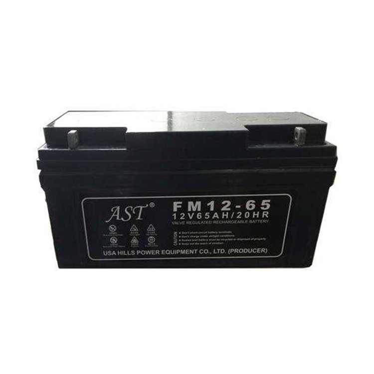 AST蓄电池ST12-65 12V65AH安防监控 UPS 直流屏配套使用