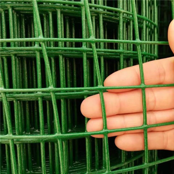 丝网养殖网 硬塑荷兰网 浸塑低碳钢丝 养鸡 鸭 围栏 铁丝网图片