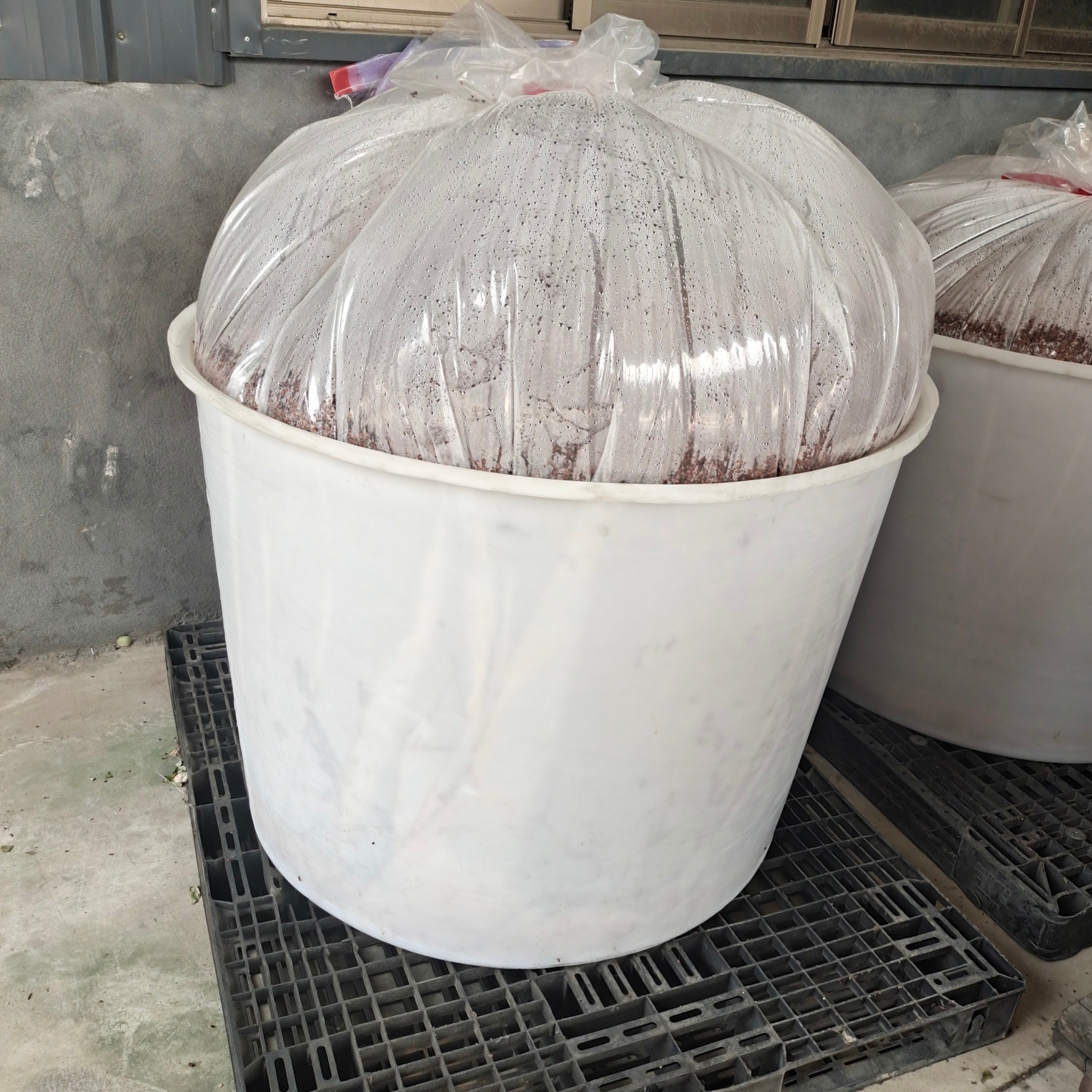 加厚1500公斤牛筋塑料桶 食品泡菜腌制胶桶 水产鱼苗孵化水桶 平底养殖桶
