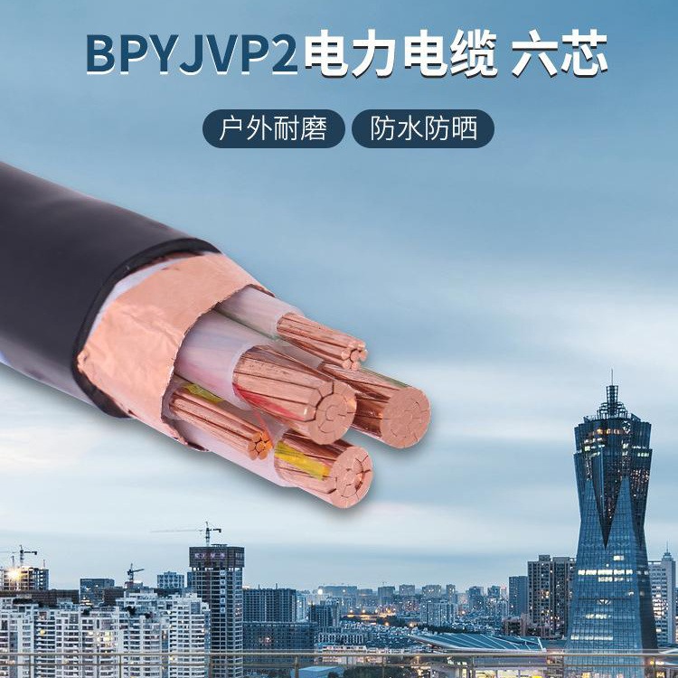 ZR-BPVVP2铜带屏蔽电缆 BPYJVPP2变频电缆 小猫牌
