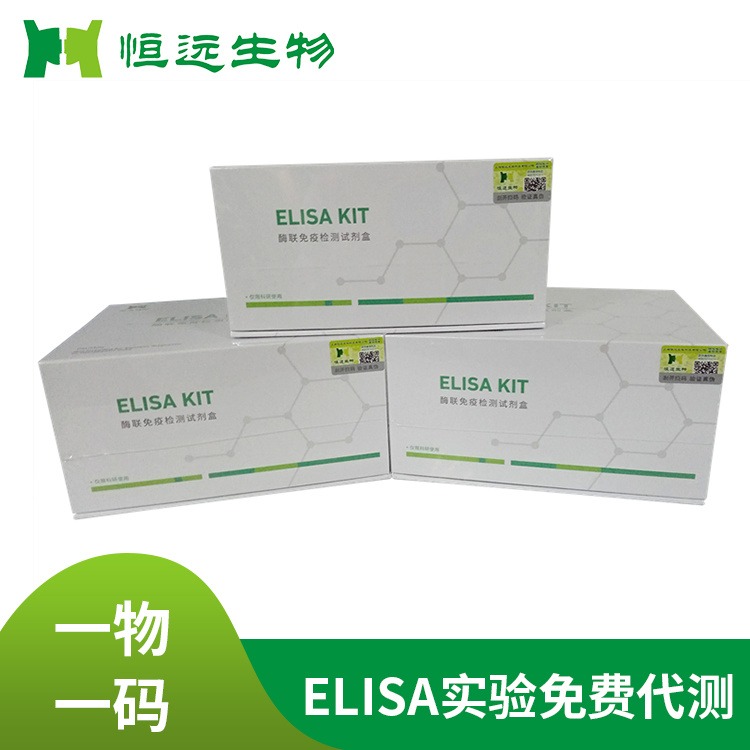 恒远生物大鼠游离特异性抗原(fPSA)ELISA试剂盒酶联免疫厂家