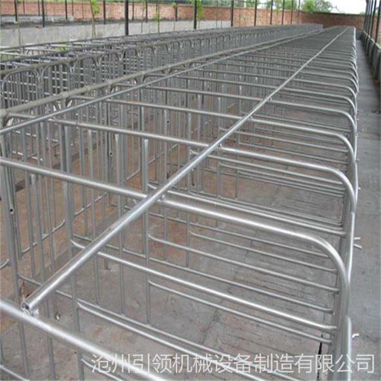 供应辽宁 黑龙江等地母猪产床 猪限位栏 定位栏可定制