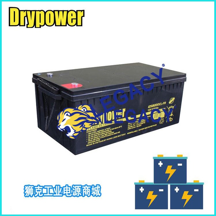 美国DRYPOWER蓄电池12GB160C-FR 12V160AH免维护储能能源电瓶