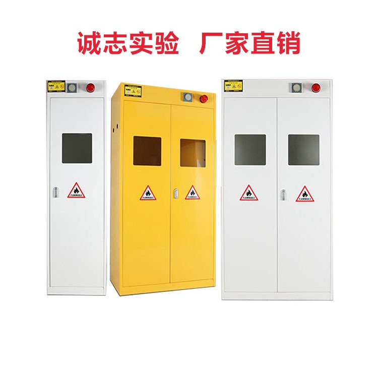 郑州万致 全钢气瓶柜智能警报器气瓶柜  厂家直销 价格优惠