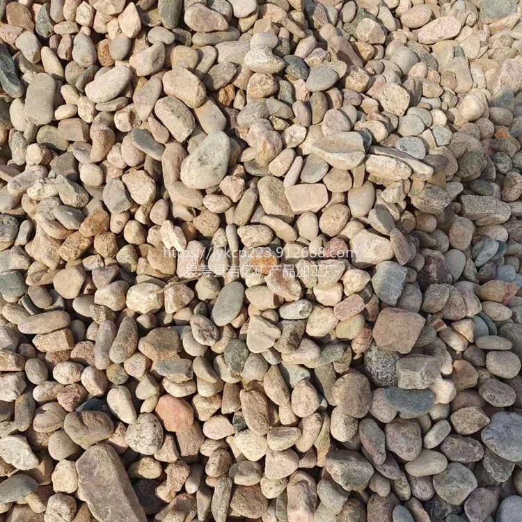 灵寿鹅卵石厂家 水处理 过滤 垫层 小石子 鹅卵石滤料