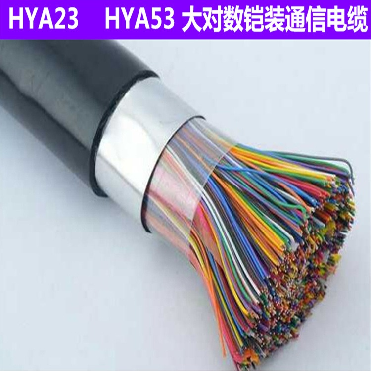 铠装地埋通信电缆-HYV53 5020.5